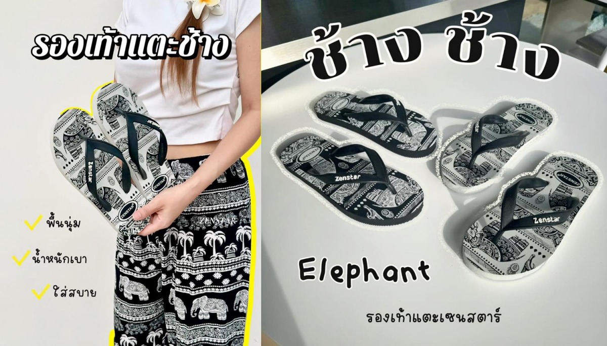 รองเท้าแตะฟองน้ำ ลายช้าง